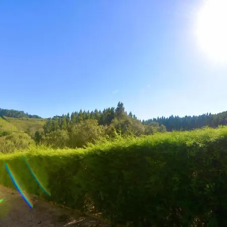 In Casais De Santa Helena