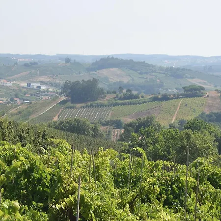 Villa In Casais De Santa Helena Carreiros