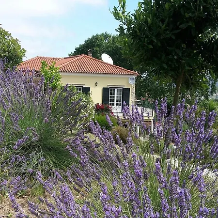 In Casais De Santa Helena Carreiros