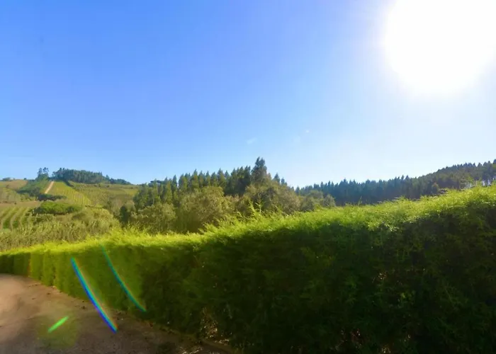 In Casais De Santa Helena