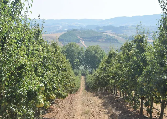 In Casais De Santa Helena וילה *